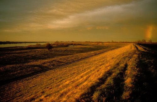 Elbląg, Żuławy - krajobraz dla konesera