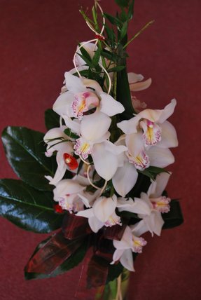 Dzień Kobiet w Kwiaciarni Różanej