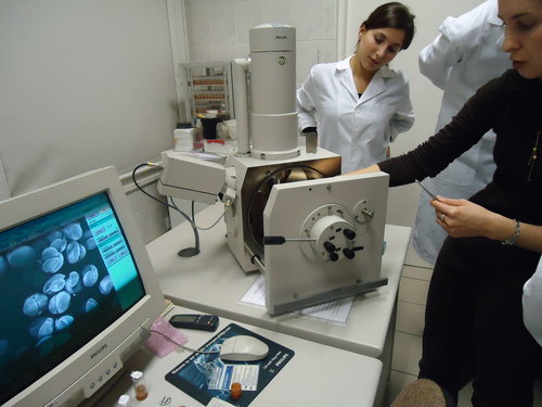 Elbląg, Podsumowanie współpracy