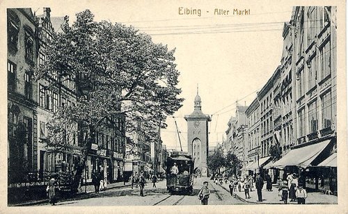 Elbląg, Władze mają ważniejsze rzeczy na głowie