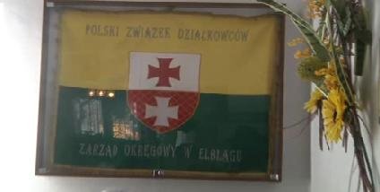 Elbląg, Działkowcy alarmują, władze uspokajają