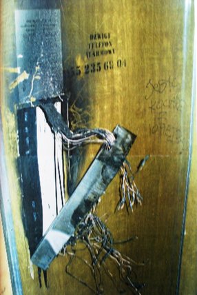 Elbląg, Wandal zatrzymany