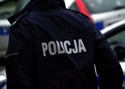 Elbląg, Policjanci odzyskali kosiarkę skradzioną ...8 lat temu