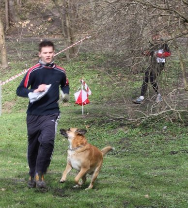 Elbląg, Biegali na orientację