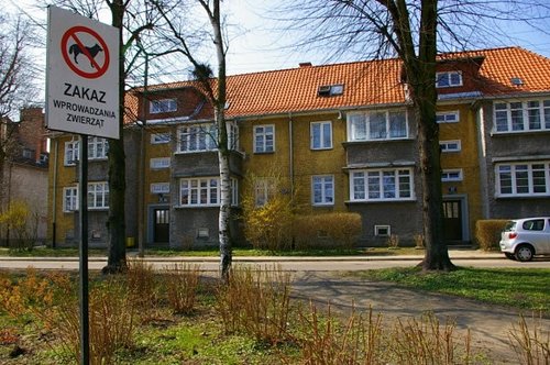 Elbląg, Szczyt absurdu