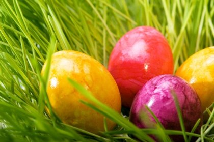 Elbląg, Zajączek z Elbląską Orkiestrą Kameralną Elbląg, Zajączek z Elbląską Orkiestrą Kameralną