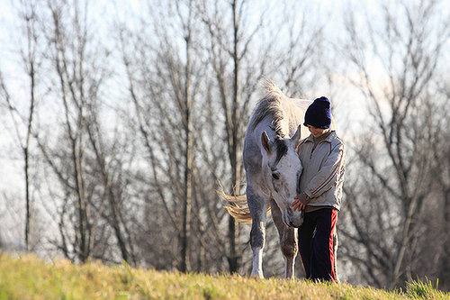 Elbląg, mat. prasowe dystrybutora filmu