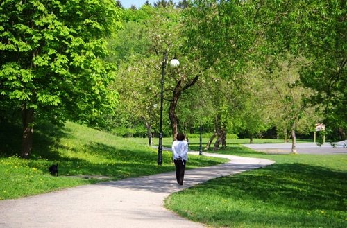 Elbląg, (Nie)bezpieczny spacer
