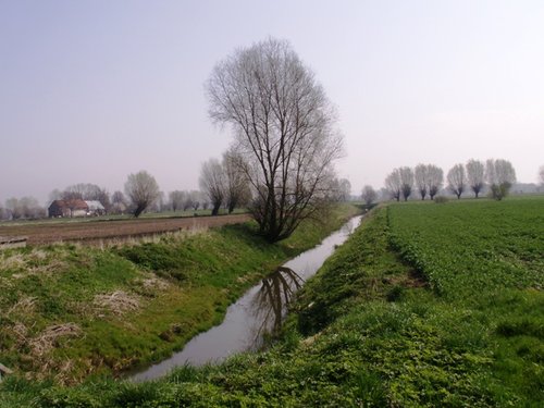 Elbląg, Żuławy Miłosza – posłuchaj!