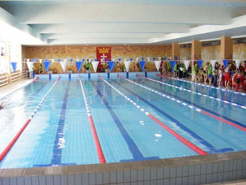 Elbląg, Elbląscy pływacy na podium Elbląg, Elbląscy pływacy na podium