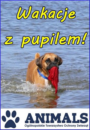 Elbląg, Wakacje z pupilem