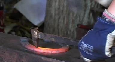 Elbląg, Tam, gdzie konie kują