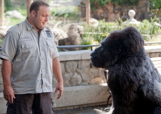 Elbląg, mat. prasowe dystrybutora filmu