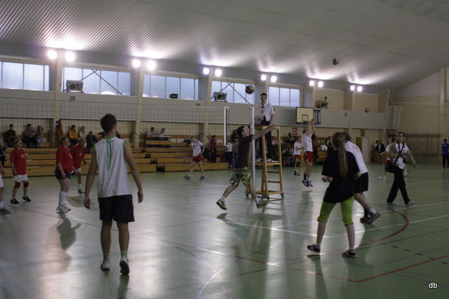 Elbląg, Volley Liga już dziś! Elbląg, Volley Liga już dziś!