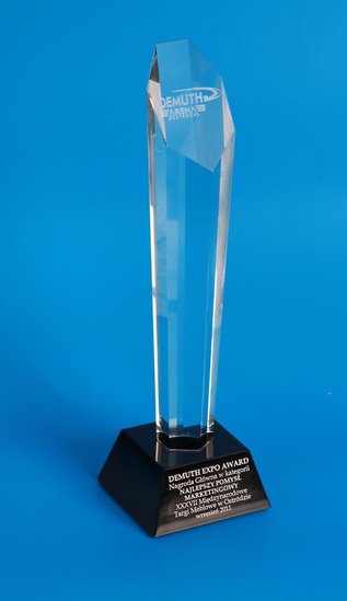 Elbląg, Statuetkę Demuth Expo Award odebrał wiceprezes ds. sprzedaży i marketingu „Wójcik Fabryki Mebli” sp. z o.o. Piotr Wójcik.