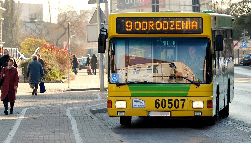 Elbląg, Elbląg miastem analfabetów?...