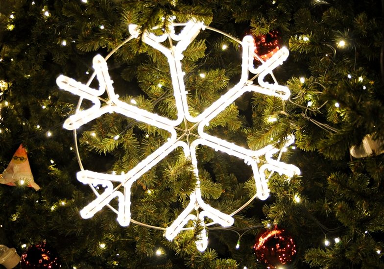 Elbląg, Winny pogody ducha i sentymentalizmu