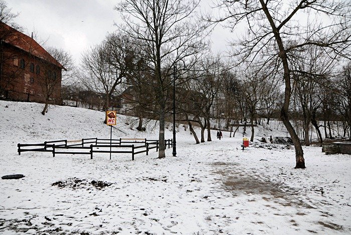 Elbląg, Skarby po zimie