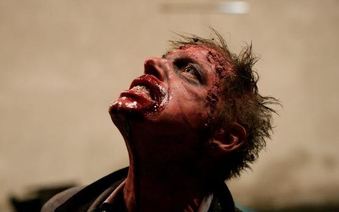 Elbląg, materiały prasowe dystrybutora filmu