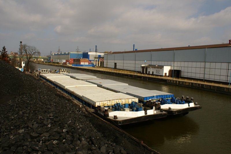 Elbląg, Bizony ruszają