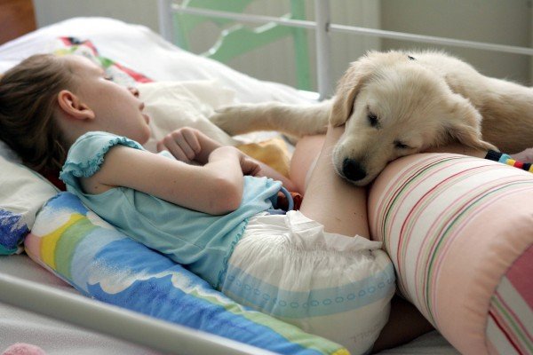 Elbląg, Dogoterapia.