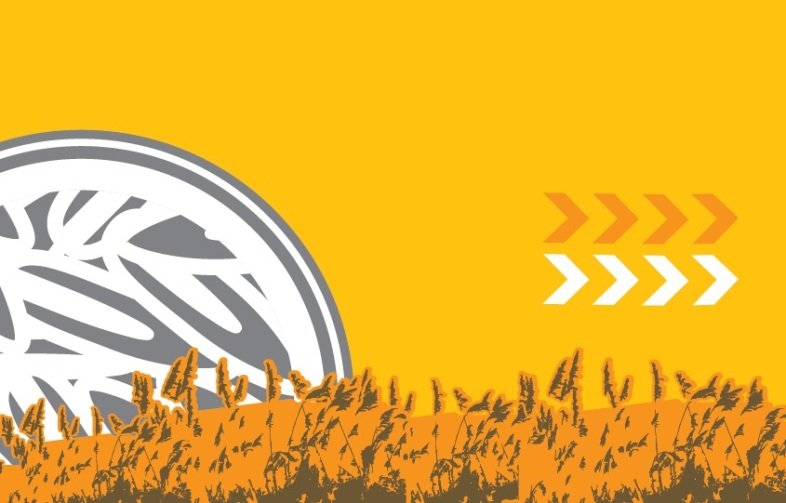 Elbląg, Jak założyć organizację?