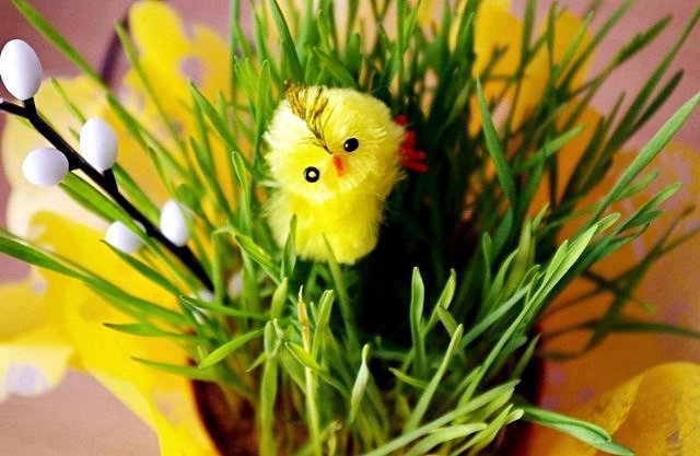 Elbląg, Więcej życzliwości