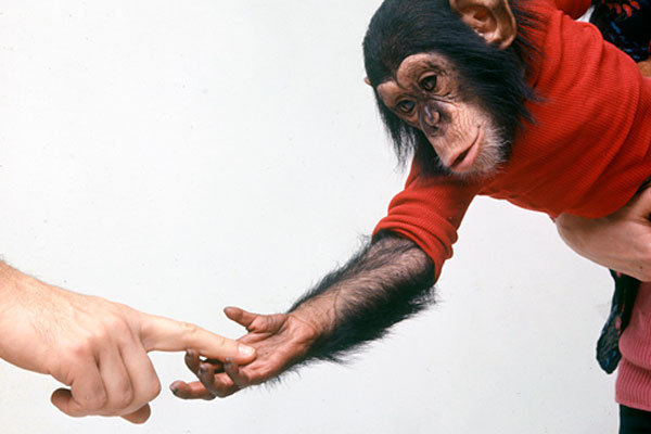 Elbląg, materiały prasowe dystrybutora filmu