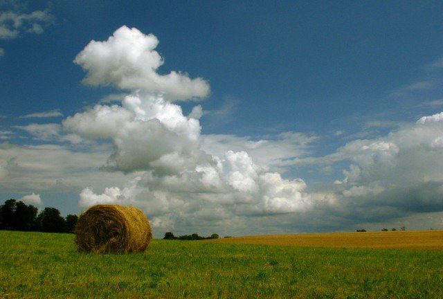 Elbląg, Wiejskie klimaty,
