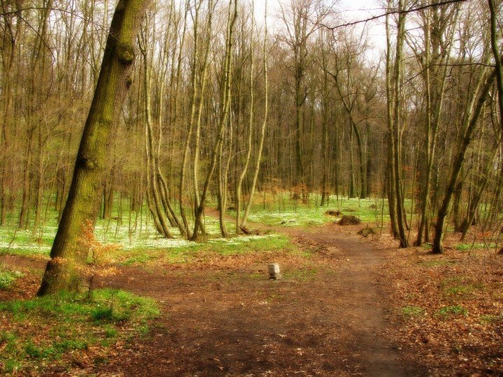 Elbląg, Na żółtym szlaku, zdjęcie z konkursu Fotka Miesiąca,