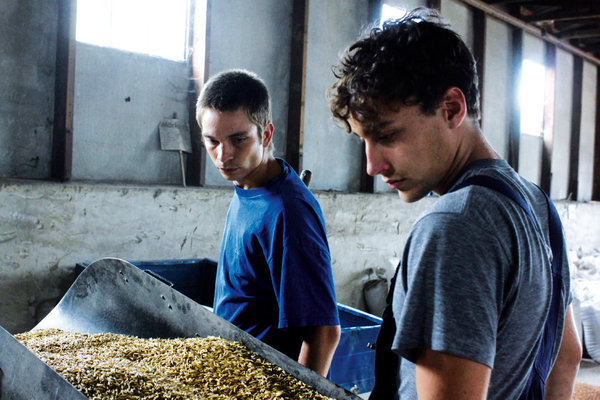 Elbląg, materiały prasowe dystrybutora filmu