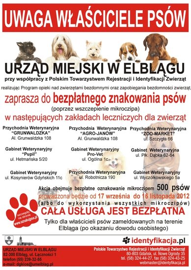 Elbląg, Mikroczipy dla psów