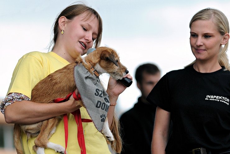Elbląg, Nasi czworonożni przyjaciele