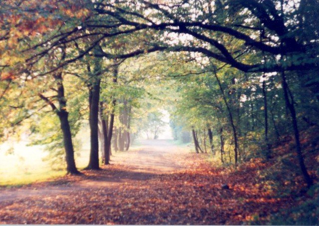 Elbląg, Zdjęcie z konkursu Fotka miesiąca