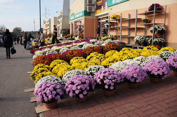 Elbląg, Zdaniem sprzedających, ceny kwiatów są podobne do tych z ubiegłego roku