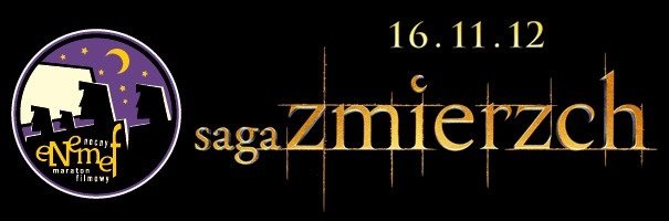 Elbląg, Multikino: ENEMEF Saga Zmierzch