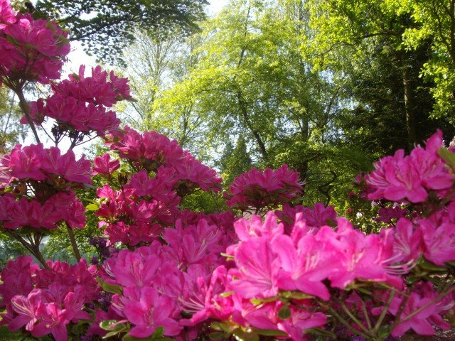 Elbląg, zdjęcie z konkursu Fotka miesiąca,