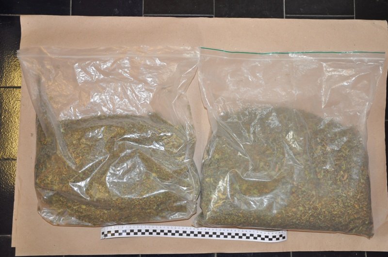 Elbląg, Zatrzymali dilera. Miał kilogram marihuany Elbląg, Zatrzymali dilera. Miał kilogram marihuany