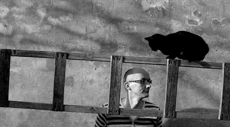 Elbląg, Film,