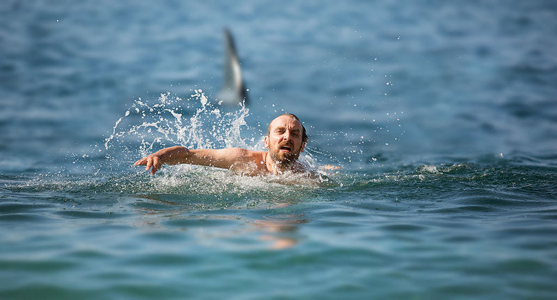 Elbląg, materiały prasowe dystrybutora filmu