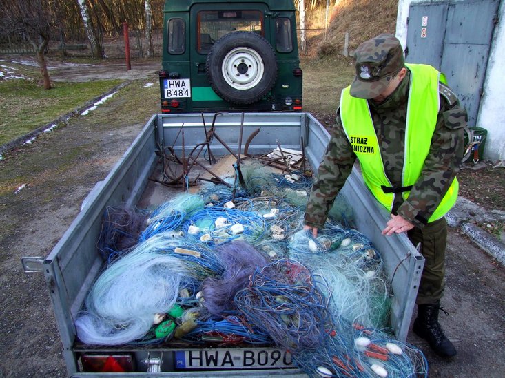 Elbląg, Kłusownicy stawiają sici