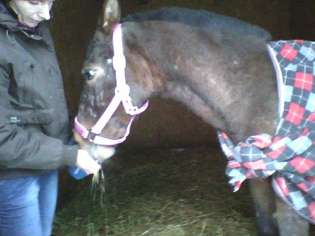 Elbląg, Jak ratowaliśmy Małą