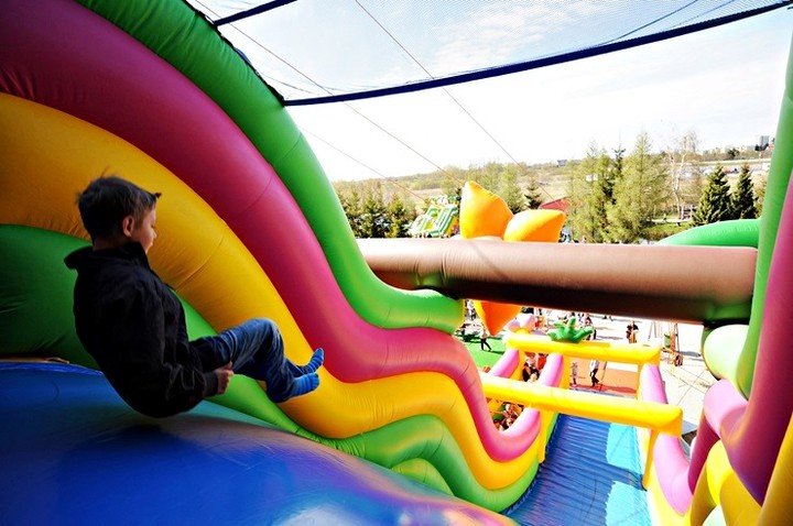 Elbląg, Lew Gigant i inne atrakcje