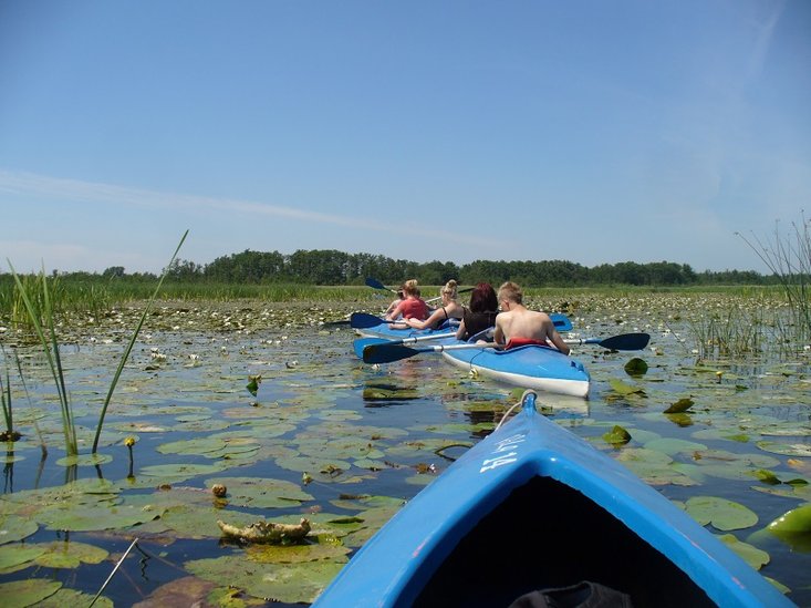 Elbląg, Kajakiem po wiedzę Elbląg, Kajakiem po wiedzę