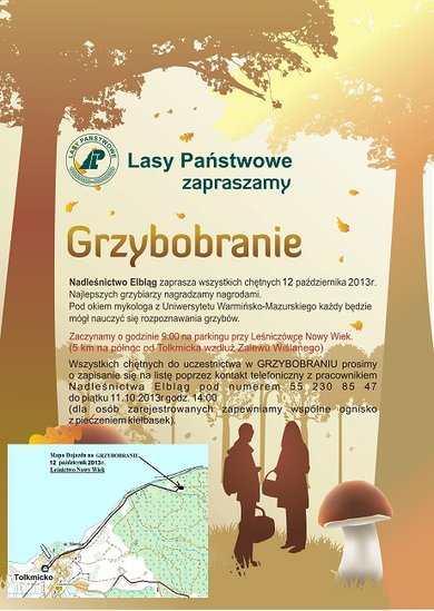 Elbląg, Grzybobranie z leśnikami Elbląg, Grzybobranie z leśnikami