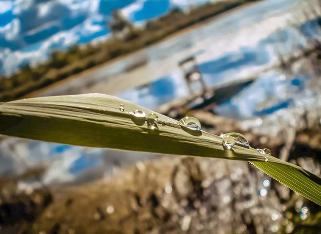 Elbląg, zwycięskie zdjęcie Klaudii Czupryn, Elbląg, zwycięskie zdjęcie Klaudii Czupryn,