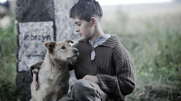 Elbląg, materiały prasowe dystrybutora