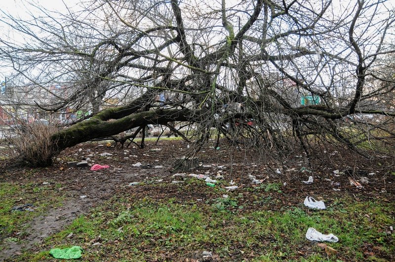 Elbląg, Zamiast hotelu –  śmieci. Gdy plany zarastają chwasty...