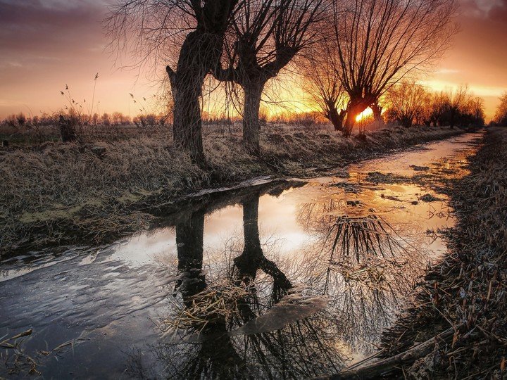 Elbląg, Zdjęcie z konkursu Fotka miesiąca (Żuławskie przedwiośnie, Elbląg, Zdjęcie z konkursu Fotka miesiąca (Żuławskie przedwiośnie,