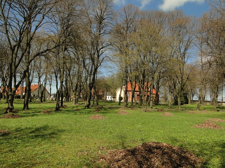 Elbląg, Na spacerze Elbląg, Na spacerze